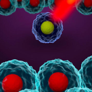 Les technologies single cell révolutionnent la recherche en biologie