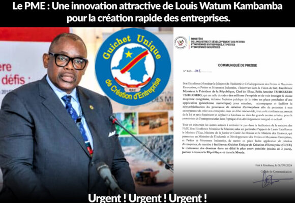 Le PME : Une innovation attractive de Louis Watum Kambamba pour la création rapide des entreprises.