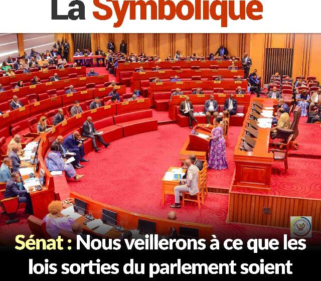 Sénat : Nous veillerons à ce que les lois sorties du parlement soient impeccables et utiles à la politique nationale ( Hon. Ngoyi Kasanji)