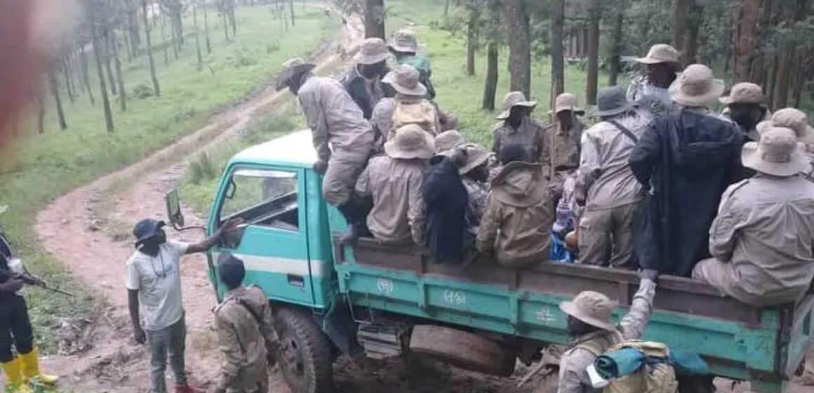 BUTEMBO : Deux groupes armés s’affrontent pour des raisons futiles