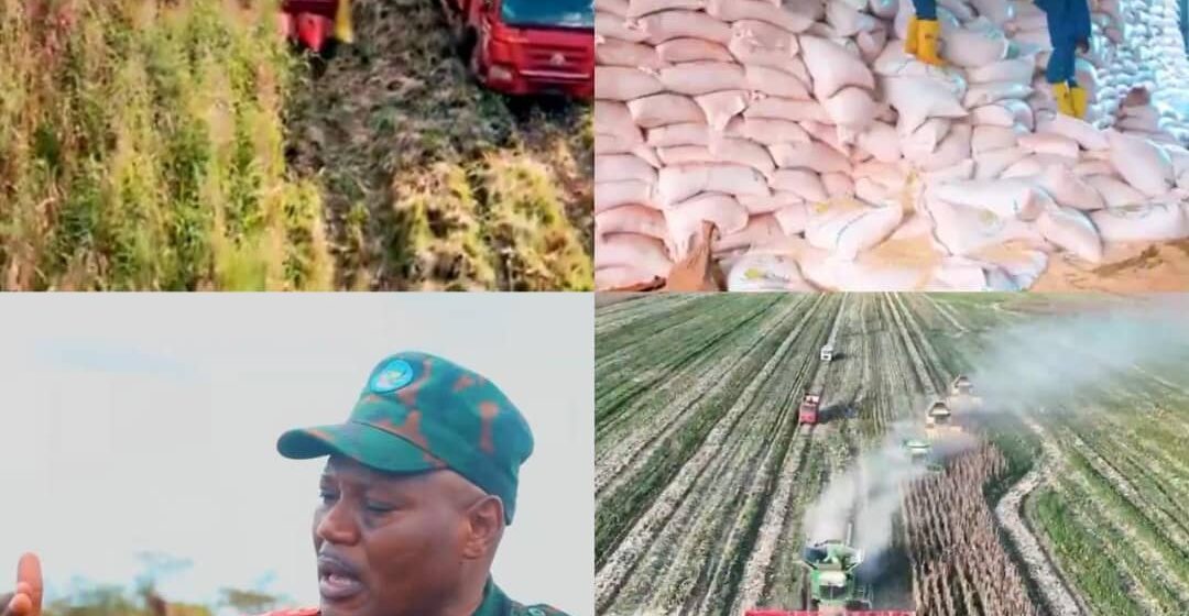 Agriculture : À Kaniama Kasese, le Service National lance sa campagne de récolte de maïs ! L’infatigable Lieutenant-Général Jean-Pierre Kasongo Kabwik sur plusieurs lignes des fronts sociaux avec ces bâtisseurs