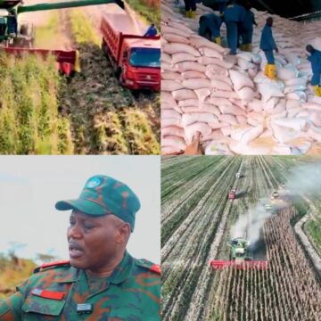 Agriculture : À Kaniama Kasese, le Service National lance sa campagne de récolte de maïs ! L’infatigable Lieutenant-Général Jean-Pierre Kasongo Kabwik sur plusieurs lignes des fronts sociaux avec ces bâtisseurs