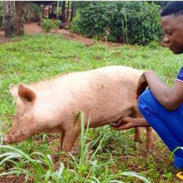 Nord-Ubangi : Un jeune homme a réussi sa vie grâce au pécule reçu du Projet STEP mis en œuvre par la CSPP au à Gbado-Lite !