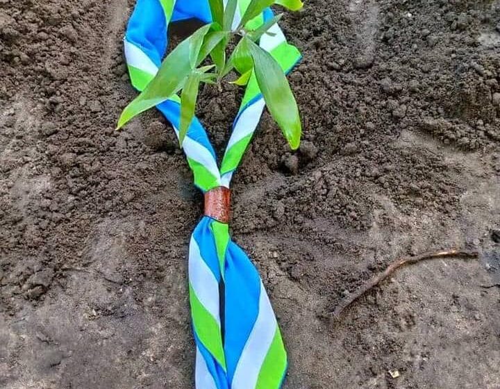 Journée Mondiale du Foulard Scout le 1er Août 2025 : Voici le Discours de Polycarpe GEREVIKO DZUTU, Point Focal de l’ASEQ dans le DSNU !
