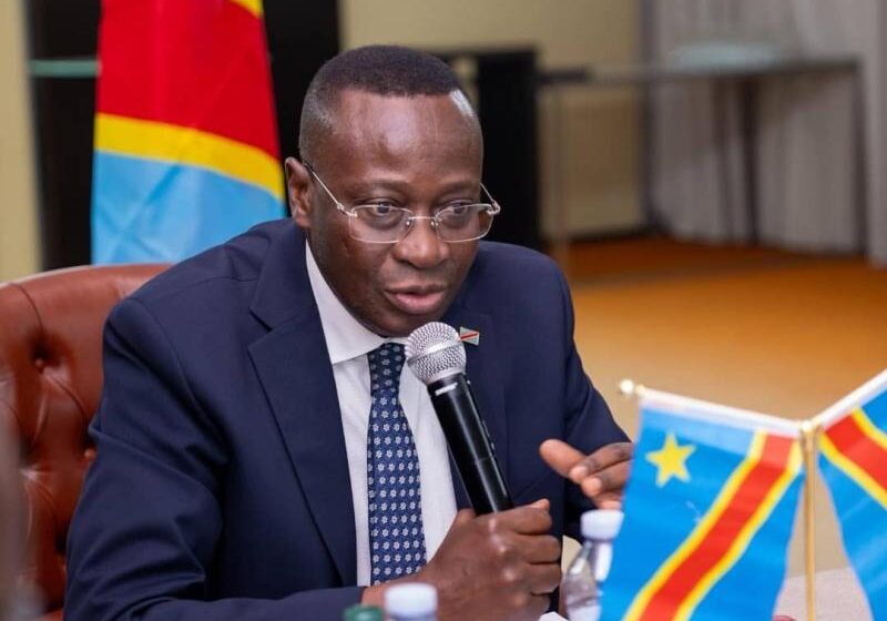 Coopération économique : « Mon séjour à Luanda a facilité la mise en relation des entrepreneurs congolais et angolais » (Mukoko Samba)