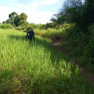 Nord-Ubangi : Un site de 3 ha attribués à ANSER pour implanter une centrale solaire de 2 kwc et électrifier la Cité de Yakoma