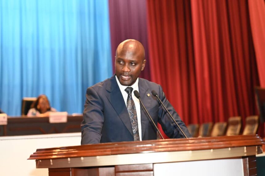 Ass. Nat : Le Porte Parole de Kasindi,l’hon Kombi Pendani Bosco a plaidé pour l&rsquo;éclairage public lors du débat en présence du ministre de tutelle.